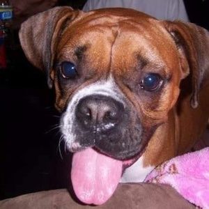 Meet your Posher, Patrick